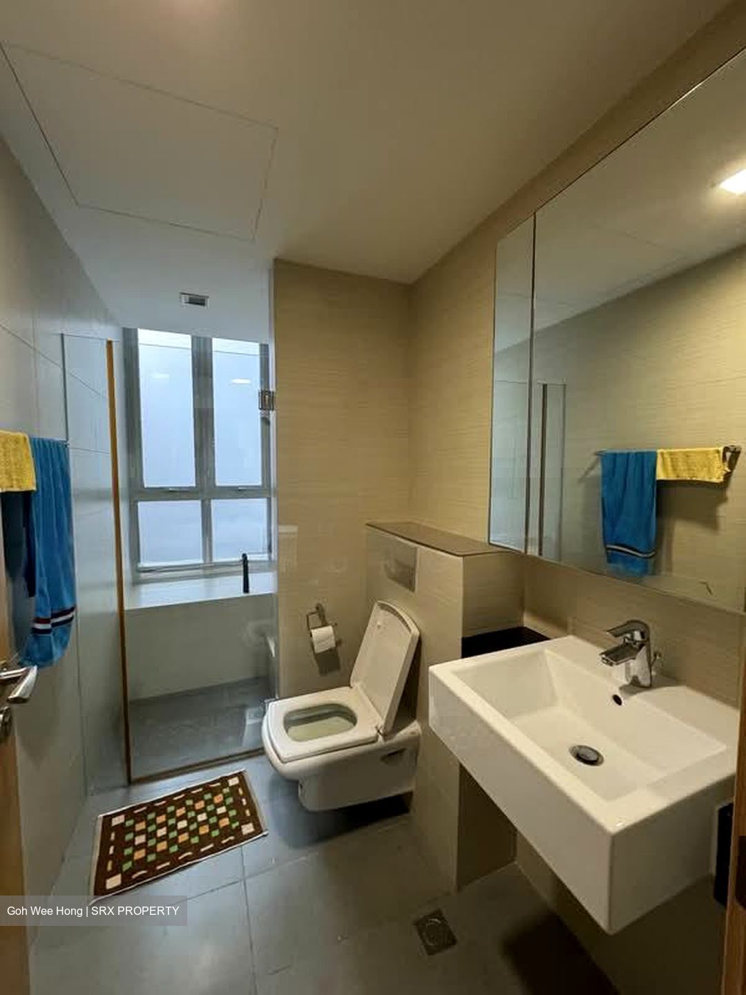 Oasis @ Elias (D18), Condominium #573140311